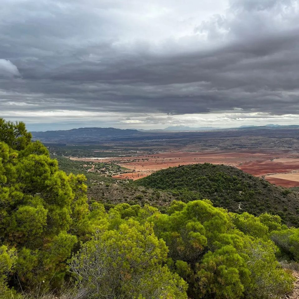 Gaâfour Trail/Mini Trail